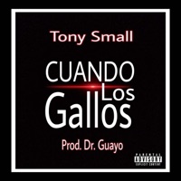 Cuando Los Gallos - Single - Tony Small