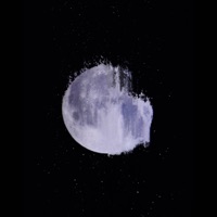 Honeymoonlight - Single - Penny Eau & Daemon