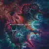 INVISN - multiverse of madness