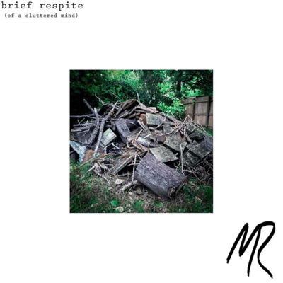 Brief Respite (Of a Cluttered Mind) - Single
