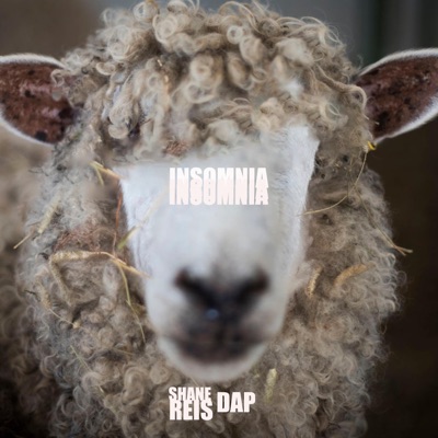 Insomnia - Single