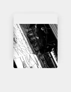 Escucha a Noose, mira videos musicales, lee su biografía, consulta las fechas de las gira y más.