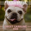 Icon Sweet Caroline 2019 (Christmas Radio Edit) - Single