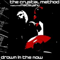 Drown In the Now (Radio Edit) [feat. Matisyahu] {Bonus Track}