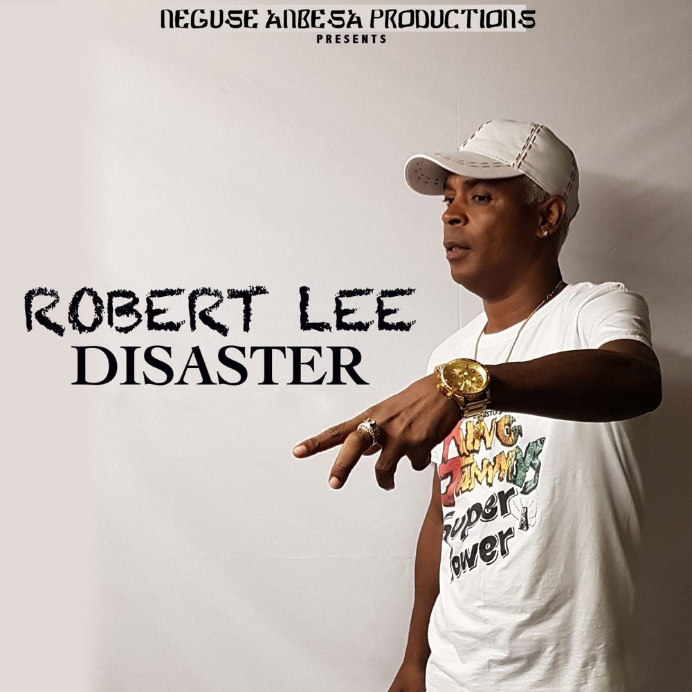 Обложка альбома «Disaster - Single» — Robert Lee