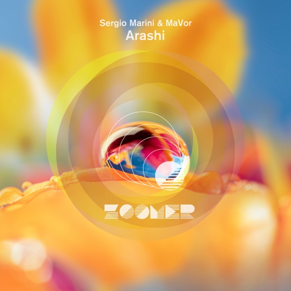 Arashi - Single