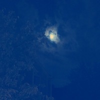 Tc3 Demos - Single - Tobilla