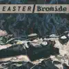 Bromide & Simon Bromide - I'll Never Learn