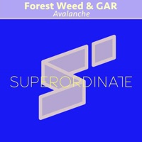 Avalanche - Single - Forest Weed & Gar