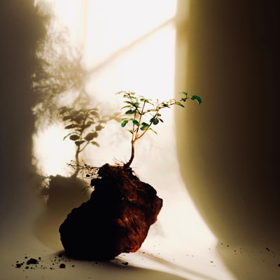 Season of Waiting (feat. LJ the Messenger) - Single