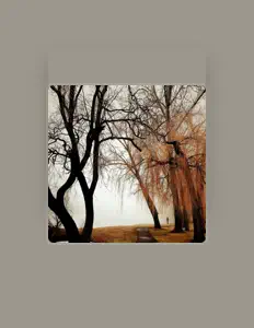 Viscous Lofiを聴いたり、ミュージックビデオを鑑賞したり、経歴やツアー日程などを確認したりしましょう！