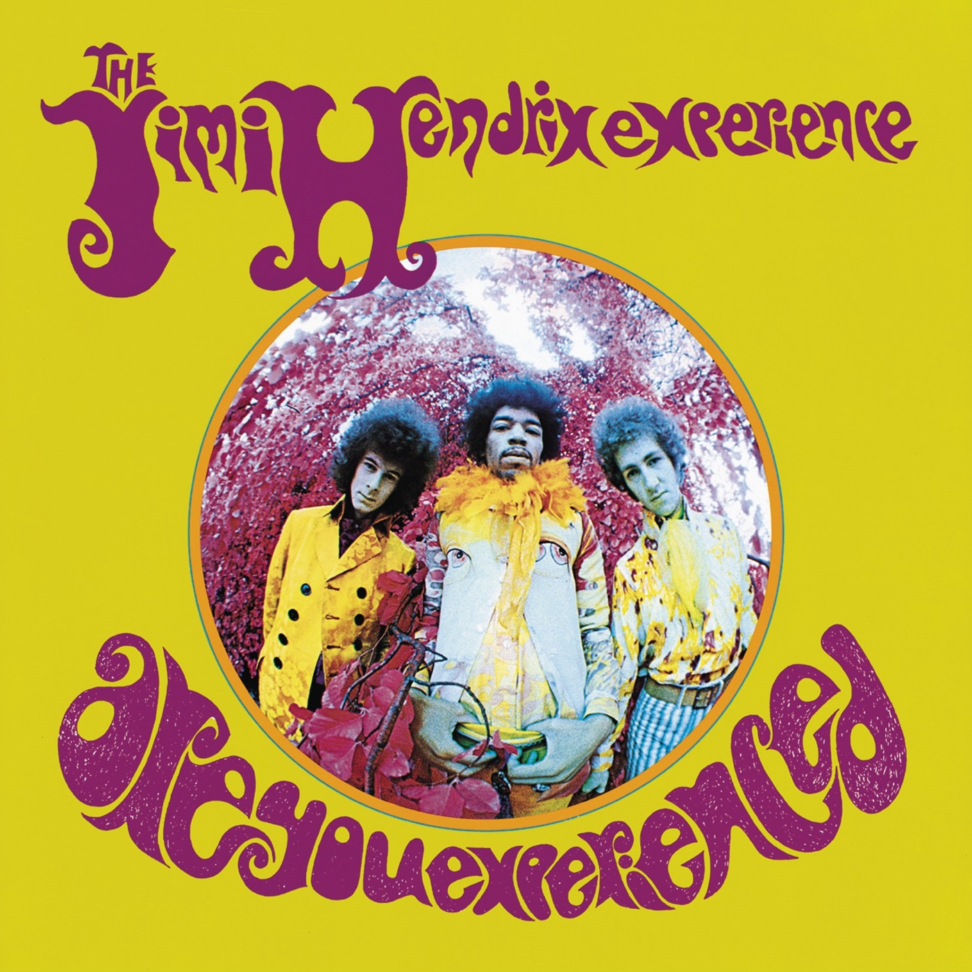 Are You Experienced by The Jimi Hendrix Experience