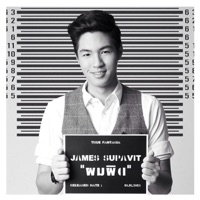 เจมส์  ศุภวิชญ์