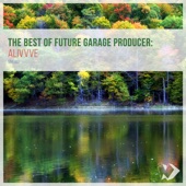 The Best of Future Garage Producer: Alivvve artwork