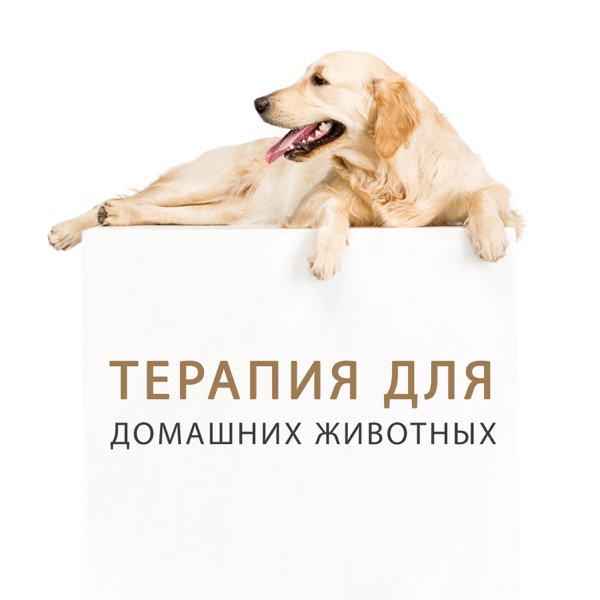 Терапия для домашних животных: Сонная музыка для собак и кошек, релаксация и спокойствие, рельеф для стресса