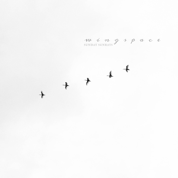 Wingspace