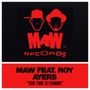 Our Time Is Coming (MAW Mix) [feat. Roy Ayers] cover art