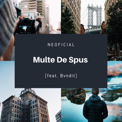 Multe De Spus (feat. Bvndit) - Single
