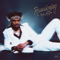 Reawakening - Reck McGee