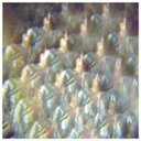 Into the Diamond Sun