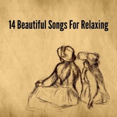 14 Beautiful Songs for Relaxing artwork