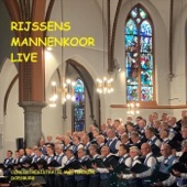Ik Zal Er Zijn (Live) artwork