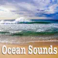 Distant Ocean Waves With Light Rain