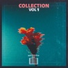 Collection, Vol. 1