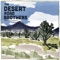 Remedies (feat. Carl Verheyen) - The Desert Road Brothers lyrics