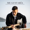 Me Gustaría - Single