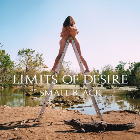 Cover artwork for Sophie
