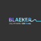 Call My Name (feat. AdamAlexander) - BLAEKER lyrics