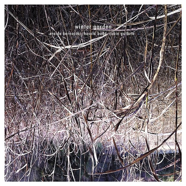 Winter Garden [Album] | Eraldo Bernocchi, Harold Budd, Robin
