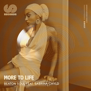 More to Life (feat. Sabrina Chyld) - Single