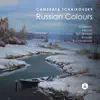 Camerata Tchaikovsky - String Quartet No. 1 in D Major, Op. 11, TH 111 : II. Andante cantabile