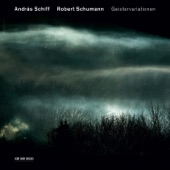 Robert Schumann: Geistervariationen artwork