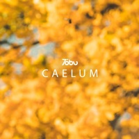 Caelum - Single - Tobu