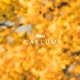 Caelum Single
