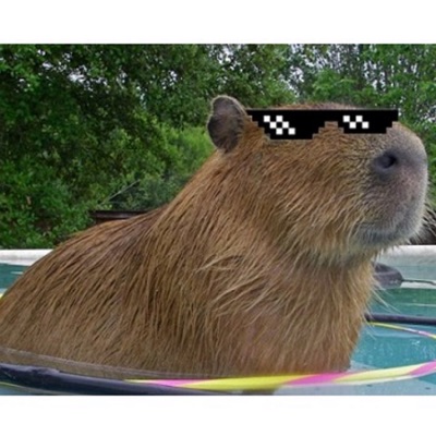 Só os Gordos Sabem - Single