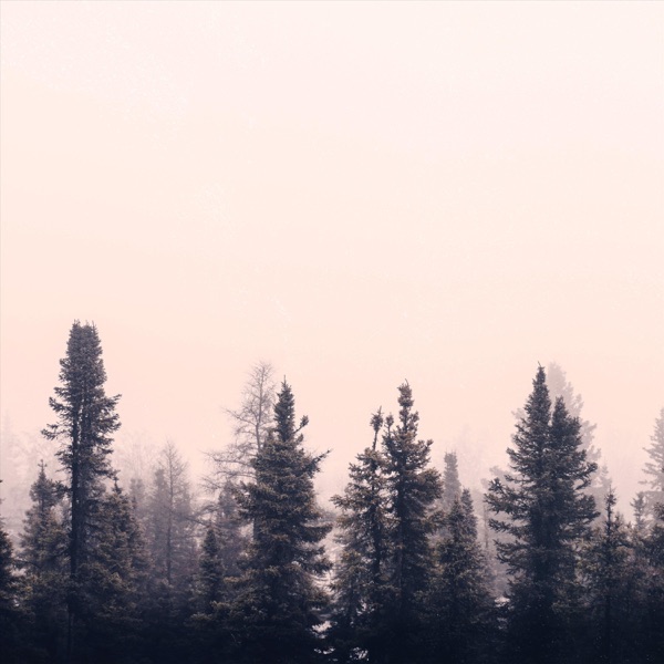 Inner Peace - EP