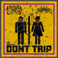 DON'T TRIP (feat. Ethereal Lotus) - Single - Lil Summoner