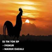 Manuk Dadali (DJ Tik Tok Remix) artwork