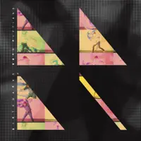 Permanent Hesitation — Born Ruffians
