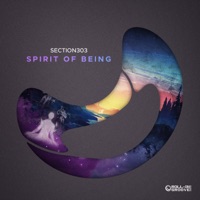 Spirit of Being - Single - Section303