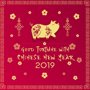 Good Fortune with Chinese New Year 2019 – Asian Experience, Yin Earth Pig, Oriental Festival, Traditional Celebration