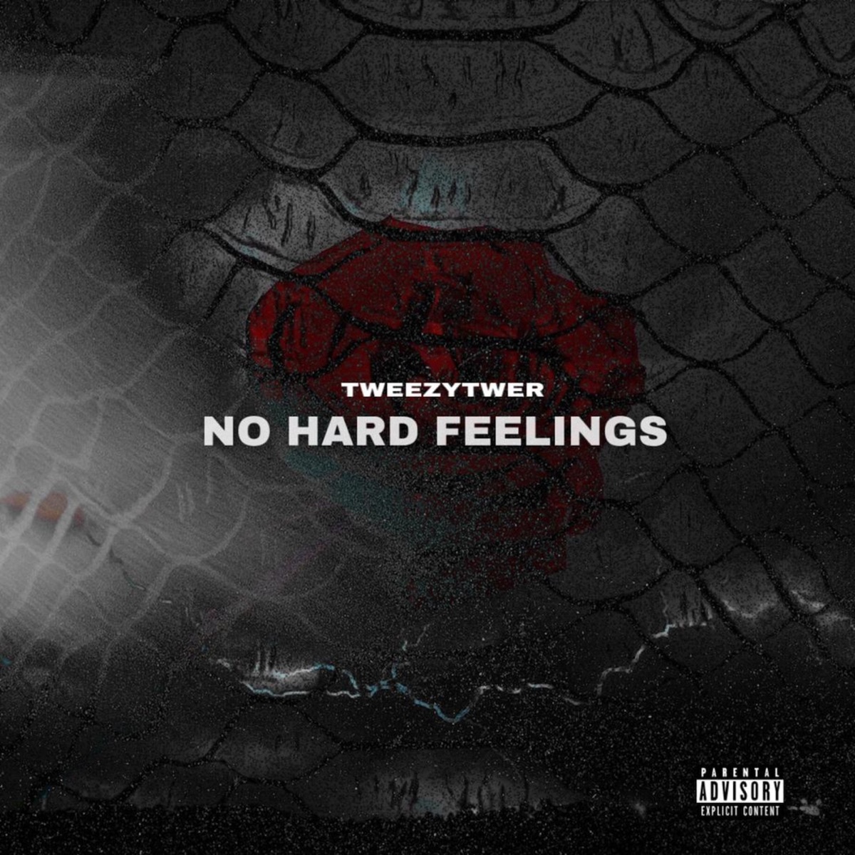 No Hard Feelings - Album by Tweezytwer - Apple Music