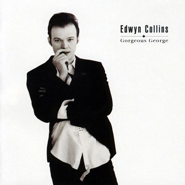 EDWYN COLLINS A GIRL LIKE YOU