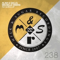 I'm Going Up (Extended Mix) - Single - Alaia & Gallo & Michelle Weeks