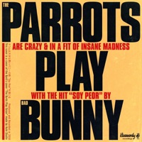 Soy Peor - Single - The Parrots