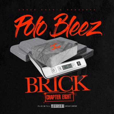 Brick Chapter 8 - Single